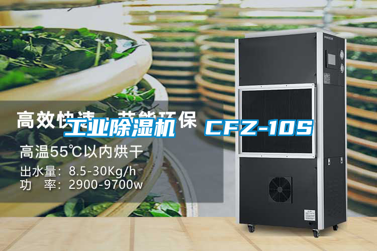 工業(yè)除濕機(jī) CFZ-10S