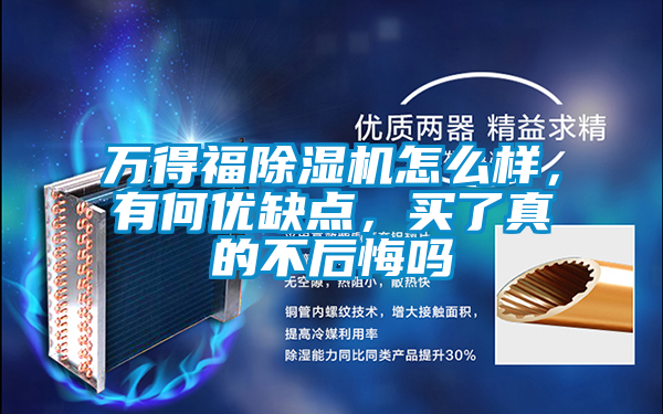 萬得福除濕機(jī)怎么樣，有何優(yōu)缺點(diǎn)，買了真的不后悔嗎