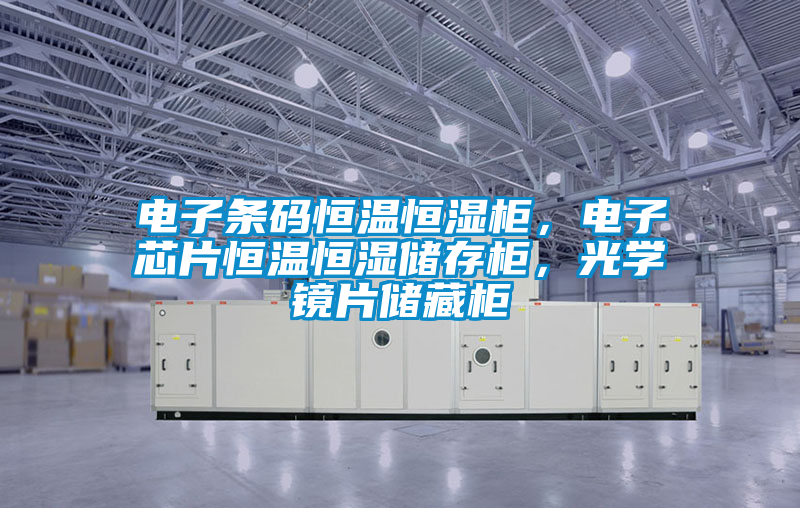 電子條碼恒溫恒濕柜，電子芯片恒溫恒濕儲(chǔ)存柜，光學(xué)鏡片儲(chǔ)藏柜