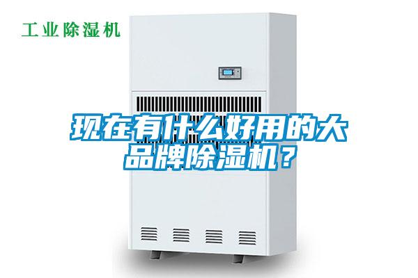 現(xiàn)在有什么好用的大品牌除濕機(jī)？