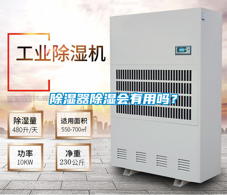 除濕器除濕會有用嗎？