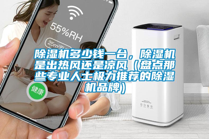 除濕機(jī)多少錢一臺(tái)，除濕機(jī)是出熱風(fēng)還是涼風(fēng)（盤點(diǎn)那些專業(yè)人士極力推薦的除濕機(jī)品牌）