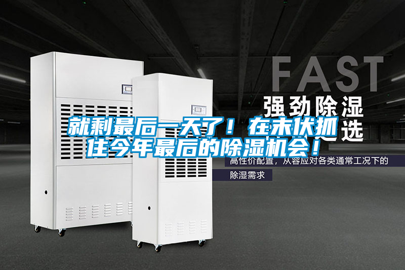 就剩最后一天了！在末伏抓住今年最后的除濕機會！