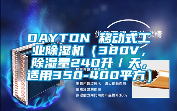 DAYTON 移動(dòng)式工業(yè)除濕機(jī)（380V，除濕量240升／天，適用350-400平方）
