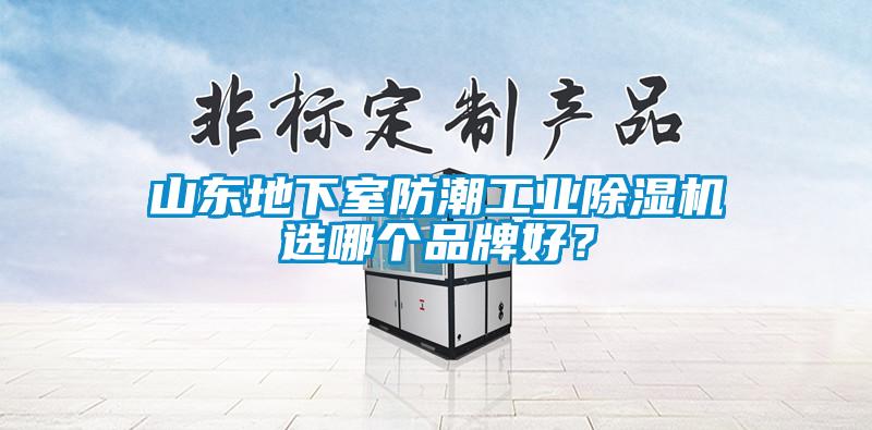 山東地下室防潮工業(yè)除濕機(jī)選哪個品牌好？