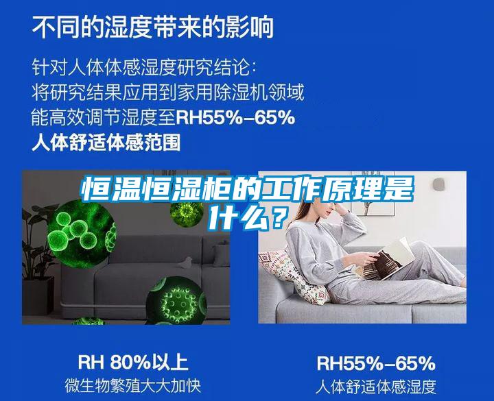 恒溫恒濕柜的工作原理是什么？