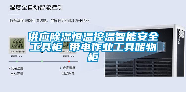 供應(yīng)除濕恒溫控溫智能安全工具柜 帶電作業(yè)工具儲物柜