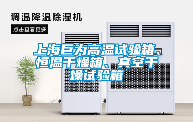 上海巨為高溫試驗箱、恒溫干燥箱、真空干燥試驗箱