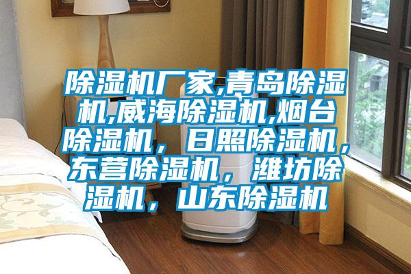 除濕機(jī)廠家,青島除濕機(jī),威海除濕機(jī),煙臺(tái)除濕機(jī)，日照除濕機(jī)，東營(yíng)除濕機(jī)，濰坊除濕機(jī)，山東除濕機(jī)