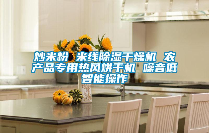 炒米粉 米線除濕干燥機 農(nóng)產(chǎn)品專用熱風(fēng)烘干機 噪音低智能操作