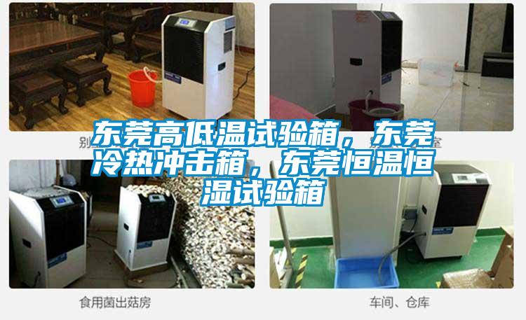 東莞高低溫試驗(yàn)箱，東莞冷熱沖擊箱，東莞恒溫恒濕試驗(yàn)箱