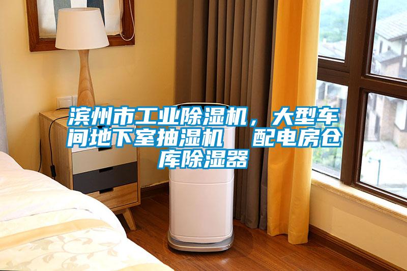 濱州市工業(yè)除濕機,大型車間地下室抽濕機 配電房倉庫除濕器