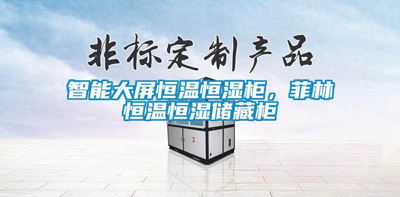 智能大屏恒溫恒濕柜,菲林恒溫恒濕儲(chǔ)藏柜