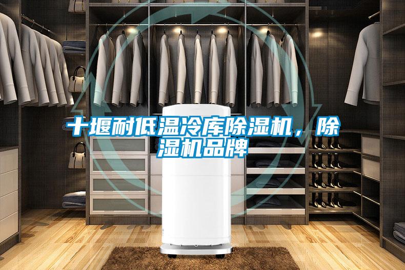 十堰耐低溫冷庫(kù)除濕機(jī)，除濕機(jī)品牌