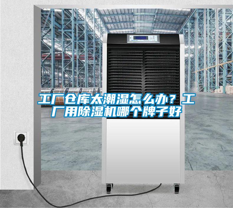 工廠倉庫太潮濕怎么辦？工廠用除濕機(jī)哪個(gè)牌子好