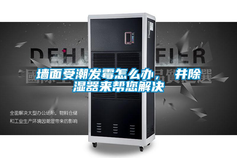 墻面受潮發(fā)霉怎么辦，東井除濕器來幫您解決