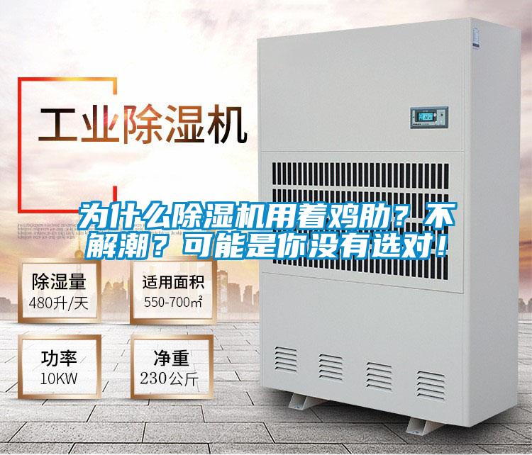 為什么除濕機(jī)用著雞肋？不解潮？可能是你沒有選對(duì)！