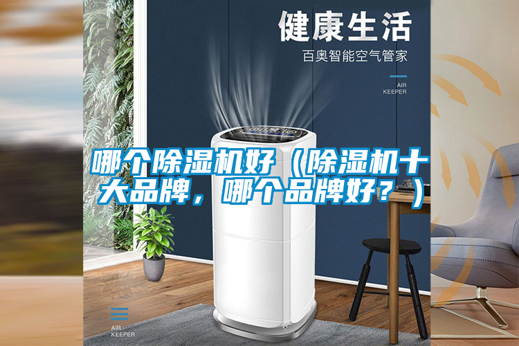 哪個(gè)除濕機(jī)好（除濕機(jī)十大品牌，哪個(gè)品牌好？）