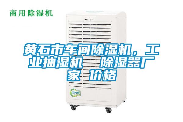 黃石市車間除濕機(jī)，工業(yè)抽濕機(jī)  除濕器廠家 價(jià)格