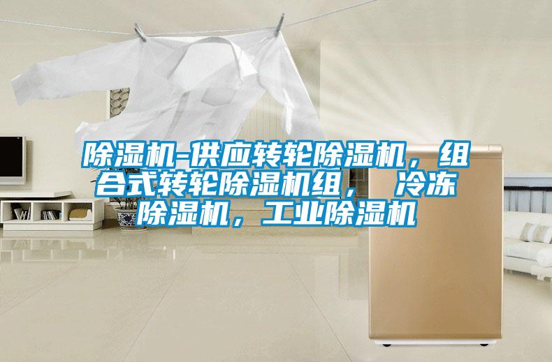 除濕機-供應(yīng)轉(zhuǎn)輪除濕機，組合式轉(zhuǎn)輪除濕機組， 冷凍除濕機，工業(yè)除濕機