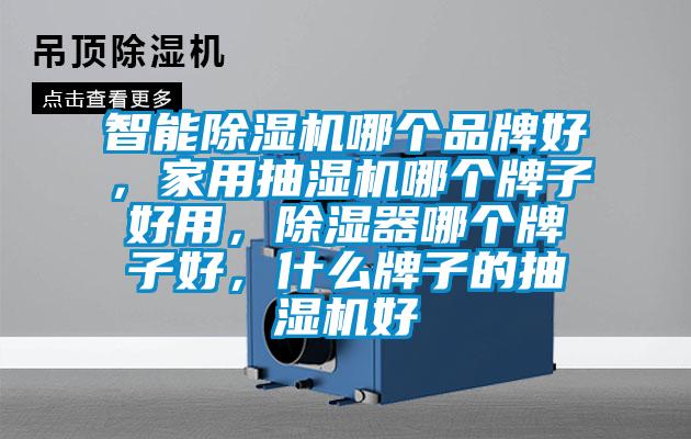 智能除濕機哪個品牌好，家用抽濕機哪個牌子好用，除濕器哪個牌子好，什么牌子的抽濕機好