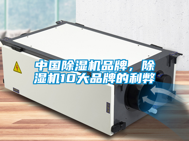 中國除濕機(jī)品牌，除濕機(jī)10大品牌的利弊