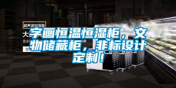 字畫恒溫恒濕柜，文物儲(chǔ)藏柜，非標(biāo)設(shè)計(jì)定制！