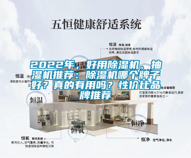 2022年，好用除濕機、抽濕機推薦：除濕機哪個牌子好？真的有用嗎？性價比品牌推薦