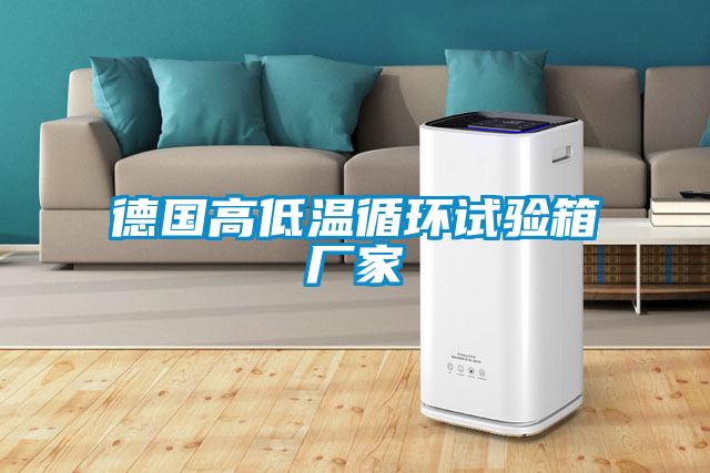 德國(guó)高低溫循環(huán)試驗(yàn)箱廠(chǎng)家