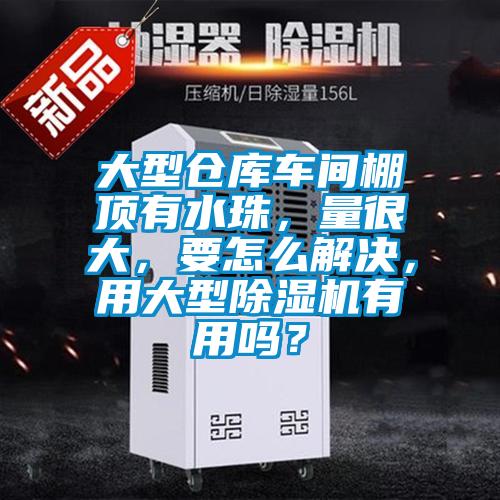 大型倉庫車間棚頂有水珠，量很大，要怎么解決，用大型除濕機有用嗎？