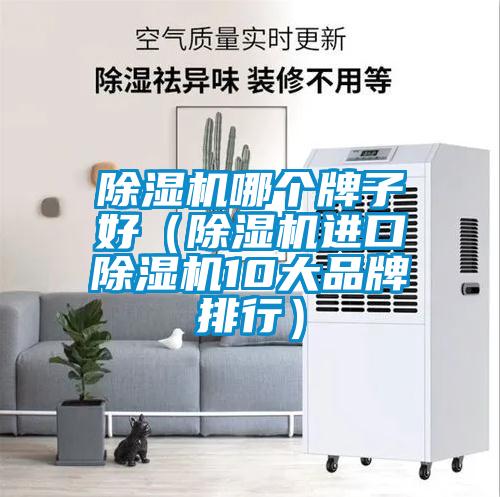 除濕機(jī)哪個牌子好(除濕機(jī)進(jìn)口除濕機(jī)10大品牌排行)