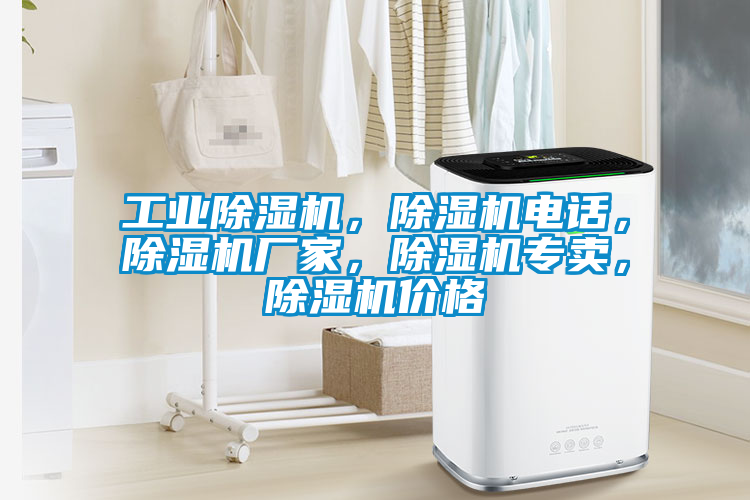 工業(yè)除濕機，除濕機電話，除濕機廠家，除濕機專賣，除濕機價格