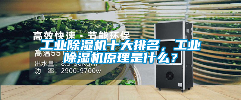 工業(yè)除濕機(jī)十大排名，工業(yè)除濕機(jī)原理是什么？