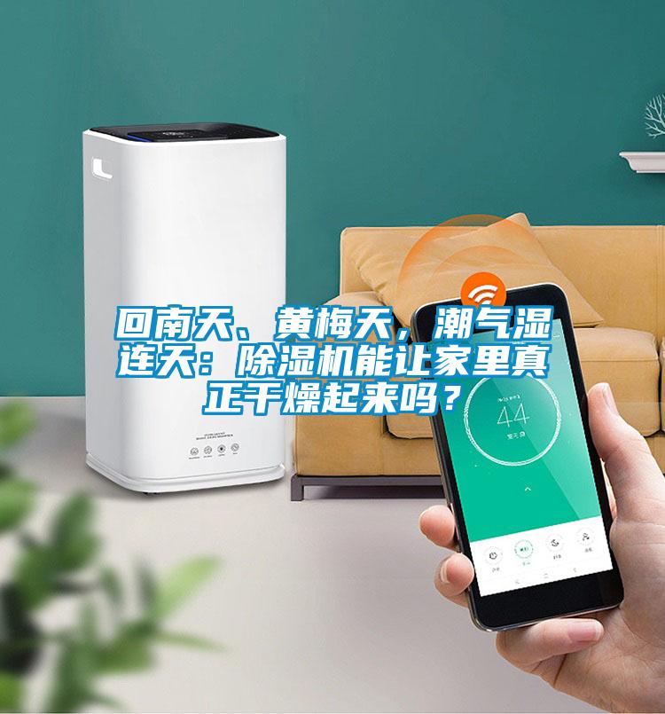 回南天、黃梅天，潮氣濕連天：除濕機(jī)能讓家里真正干燥起來嗎？
