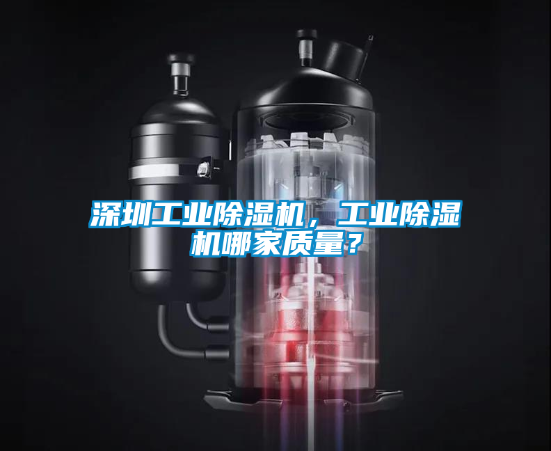 深圳工業(yè)除濕機，工業(yè)除濕機哪家質(zhì)量？