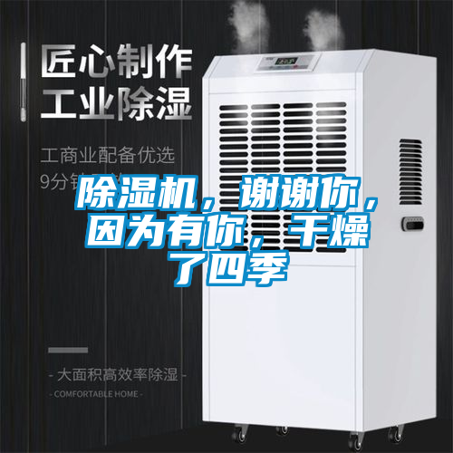 除濕機(jī)，謝謝你，因?yàn)橛心悖稍锪怂募?/></p>
						    <p style=