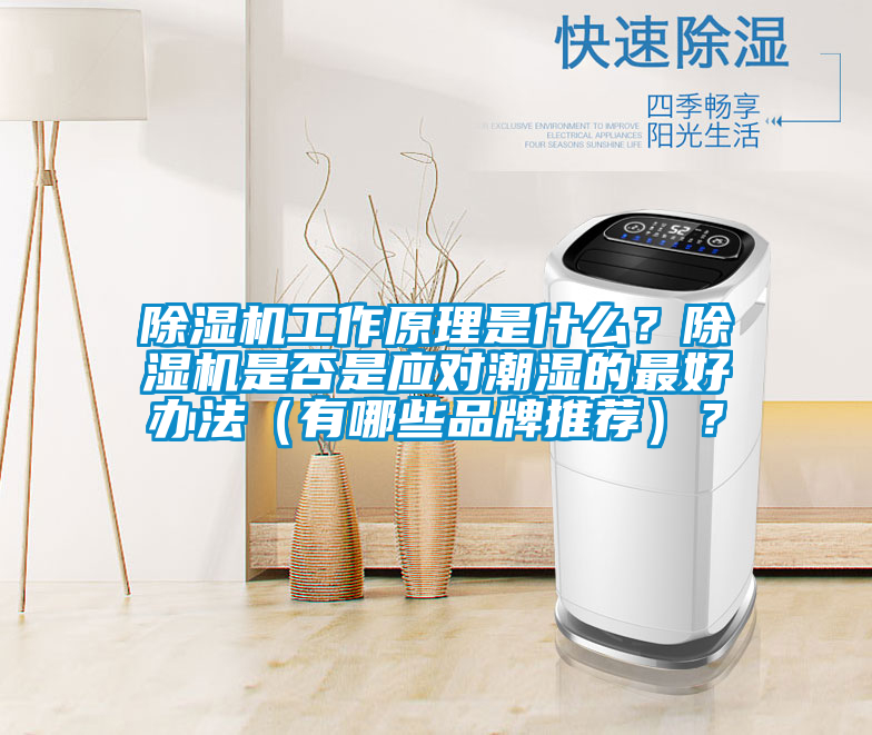 除濕機工作原理是什么？除濕機是否是應對潮濕的最好辦法（有哪些品牌推薦）？