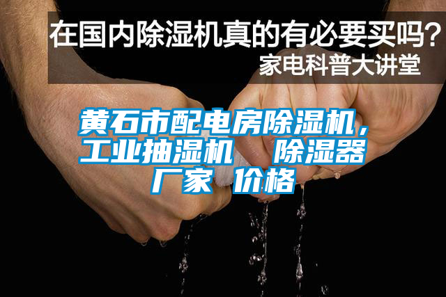 黃石市配電房除濕機，工業(yè)抽濕機  除濕器廠家 價格