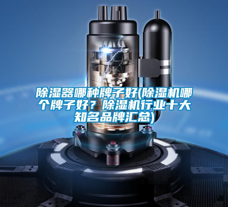 除濕器哪種牌子好(除濕機(jī)哪個(gè)牌子好？除濕機(jī)行業(yè)十大知名品牌匯總)