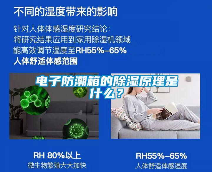 電子防潮箱的除濕原理是什么？