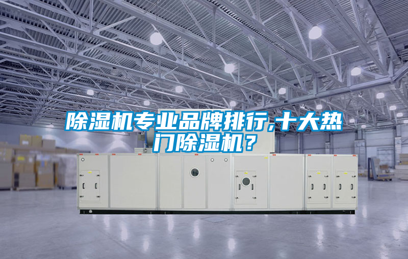 除濕機(jī)專業(yè)品牌排行,十大熱門除濕機(jī)？