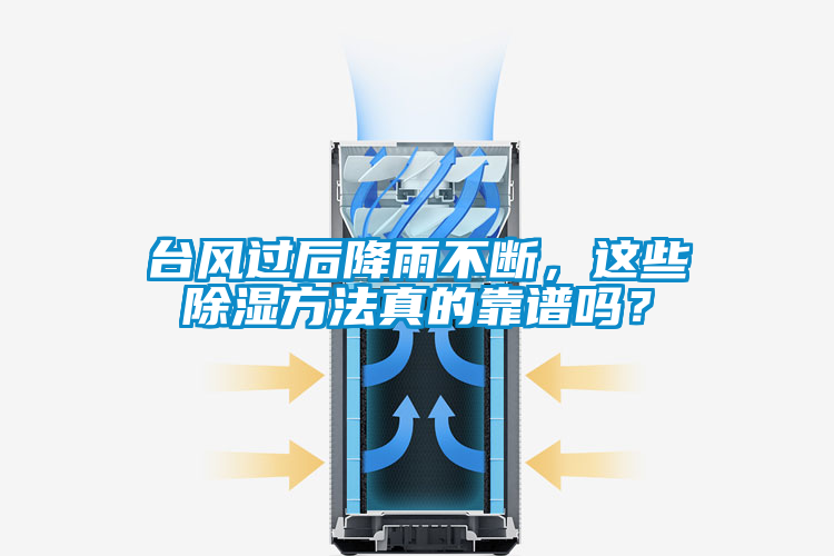 臺(tái)風(fēng)過(guò)后降雨不斷，這些除濕方法真的靠譜嗎？