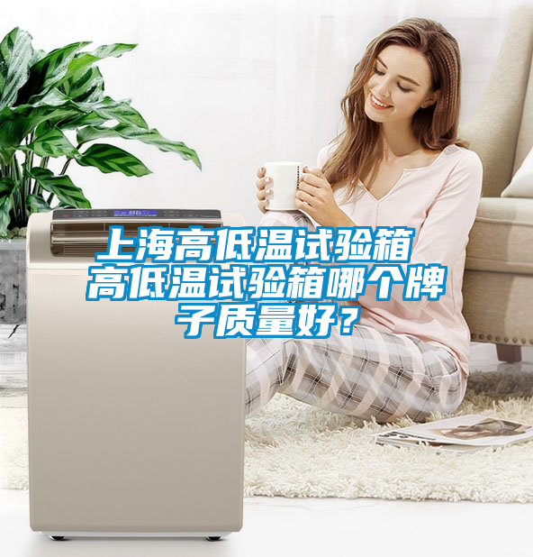 上海高低溫試驗(yàn)箱 高低溫試驗(yàn)箱哪個(gè)牌子質(zhì)量好？