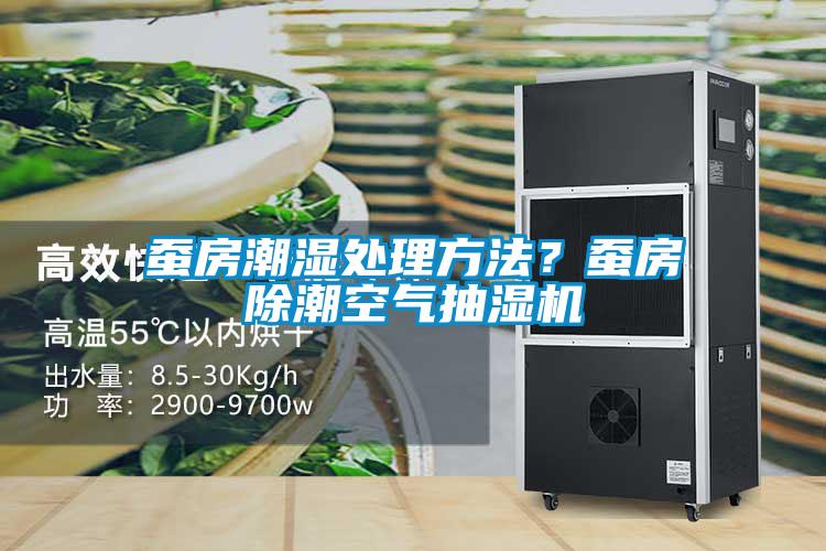 蠶房潮濕處理方法?蠶房除潮空氣抽濕機(jī)