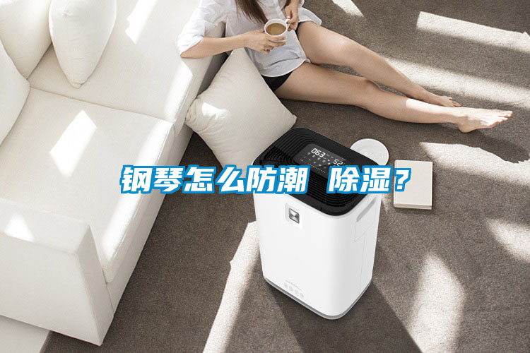 鋼琴怎么防潮 除濕？