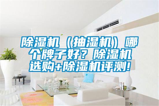 除濕機(jī)（抽濕機(jī)）哪個牌子好？除濕機(jī)選購+除濕機(jī)評測!