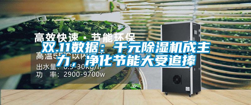 雙.11數(shù)據(jù)：千元除濕機成主力，凈化節(jié)能大受追捧