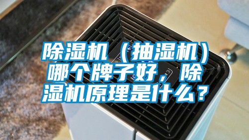 除濕機(jī)（抽濕機(jī)）哪個(gè)牌子好，除濕機(jī)原理是什么？