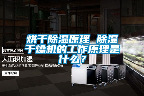 烘干除濕原理 除濕干燥機的工作原理是什么？