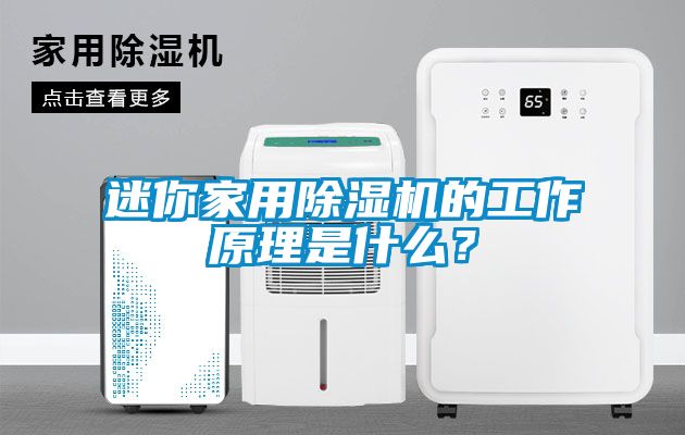 迷你家用除濕機的工作原理是什么？